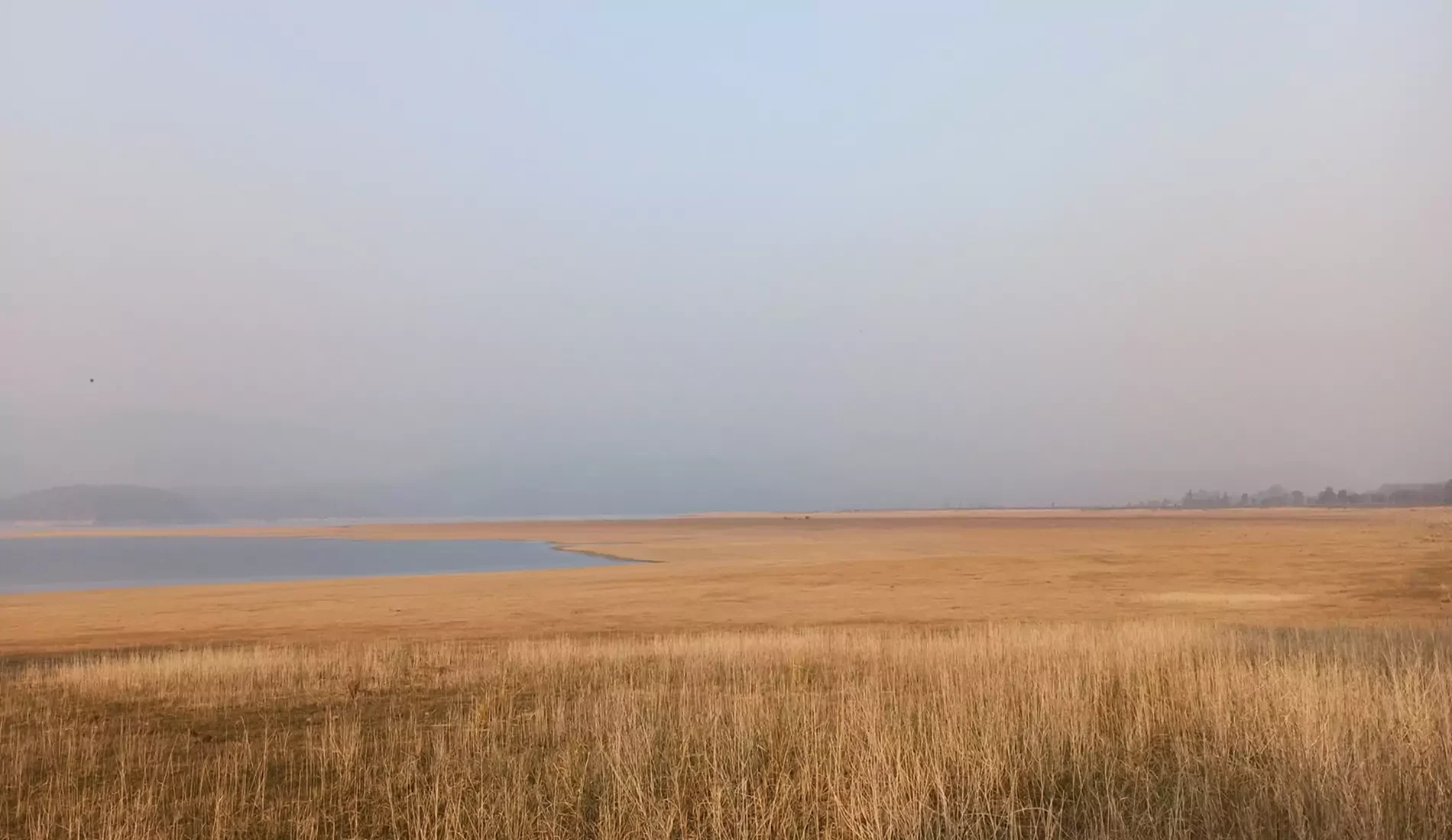 dhikala-grass-land-landscapes