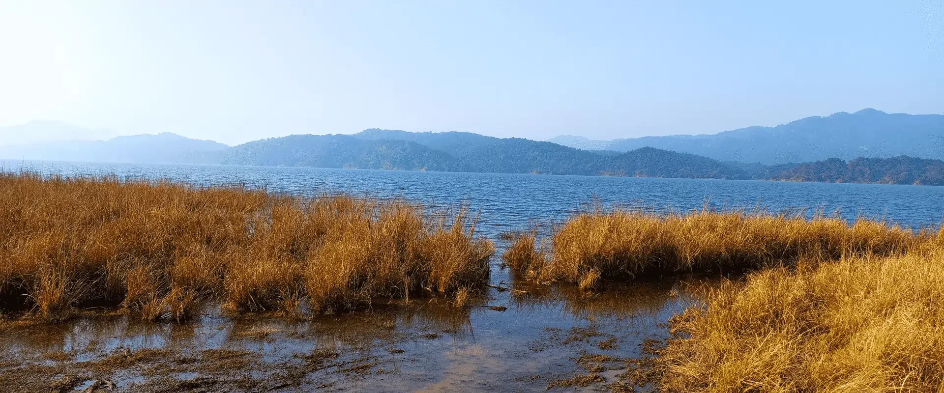 corbett ramganga