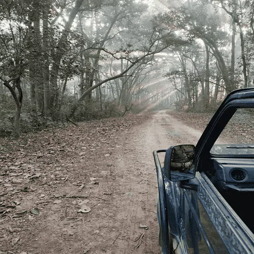 jeep safari in corbett